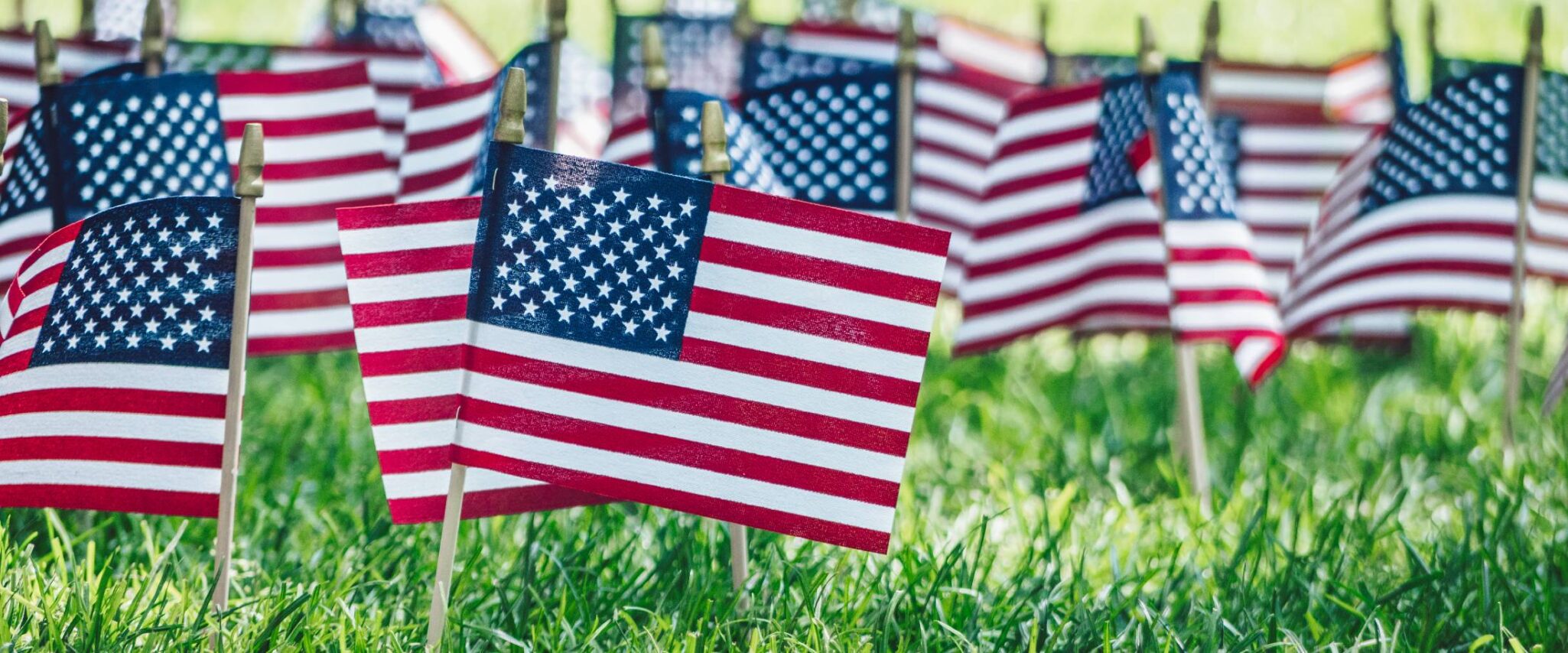 small American flags standing in the grass to honor memorial day